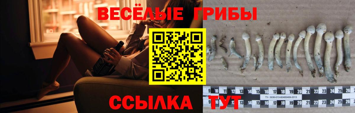Псилоцибиновые грибы MAGIC MUSHROOMS  Псилоцибиновые грибы Cubensis  Вход с VPN  Пенза 